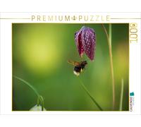 CALVENDO Puzzle Rendez-Vous mit einer Schachbrettblume | 1000 Teile Lege-Größe 6