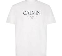 Calvin Klein 20s Graphic Short Sleeve T-shirt