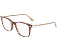 Calvin Klein CK22541 235 55 Dark Tortoise