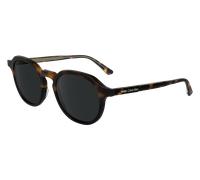 Calvin Klein 24538s Sunglasses Black Light Brown 3/CAT3