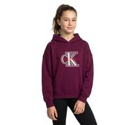 Calvin Klein Ig0ig03068 Hoodie Purple 14 Years Girl