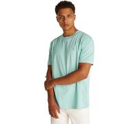 Calvin Klein Men’s Short Sleeve Round Neck Painted T-Shirt, Blue (Fresh Mint), XL