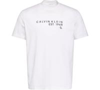 Calvin Klein Men’s T-Shirt Short Sleeve Graphic with Round Neckline, White (Bright White), S