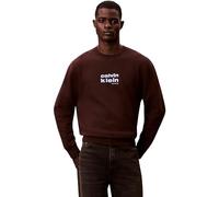 Calvin Klein Men's LS 350FLEECE RETRO GRAPHIC CREWN LV04LE250G, BROWN, L