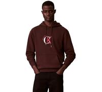 Calvin Klein Men's LS EU 350TERRY GRAPHIC HOODIE LV04RE255G Sweatshirts, BROWN (Rich Brown), M