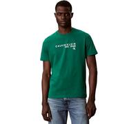 Calvin Klein Men's Ss 30S EU Wholesale Graphic Tee LV04RF800G Graphic Tees, Green, S