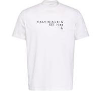 Calvin Klein Men's Ss 30S EU Wholesale Graphic Tee LV04RF800G Graphic Tees, White, M