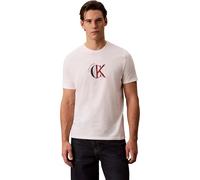 Calvin Klein Men's SS 30S WHSL CKJ 2TONE CK Graphic LV14RE829G Graphic Tees, White (White Greige), XXL_Plus