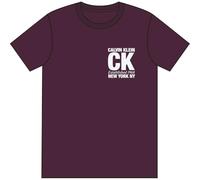 Calvin Klein Men's SS 30s WHSL SP CK Corner Graphic LV04RE819G, Purple, XL