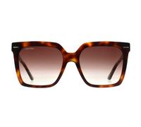 Calvin Klein Sunglasses CK22534S 220 Brown Havana Brown Gradient