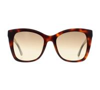 CALVIN KLEIN Women's Butterfly Brown Havana Brown Gradient CK22530S Calvin Klein Brown One Size