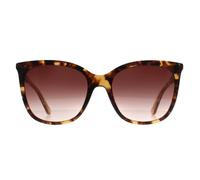 CALVIN KLEIN Women's Round Dark Tortoise Dark Brown Gradient CK23500S Calvin Klein Brown One Size