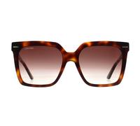 CALVIN KLEIN Women's Square Brown Havana Brown Gradient CK22534S Calvin Klein Brown One Size