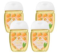 (Calypso sunrise - Anti-bacterial hand gel, Buy 4) HandiGel Pocket Size Hand Sanitizers Gel, 29ml