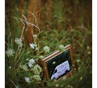 Calyx - Stay Gone [VINYL]