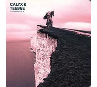 Calyx & TeeBee - FABRICLIVE 76: Calyx & TeeBee