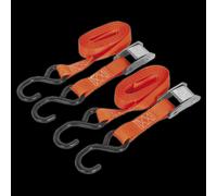 Cam Buckle Strap 25mm x 2.5m Polyester Webbing with S-Hooks 250kg Breaking Strength