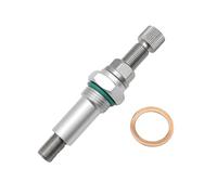 Cam Timing Chain Tensioner (Black/Silver) Compatible With F650GS, F700GS, F800GS, F800GT, F800R, F800S, F800ST, G650X and Similar Models(Silver)