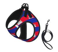 Cambodia Flag Print Dog Harness Small Sized And Leash Set, Step In Soft Light Puppy Vest Breathable Mesh Pet Harness