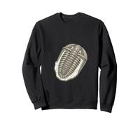 Cambrian Trilobite Fossil Specimen Art Graphic Sweatshirt