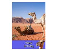 Camel Birthday Card