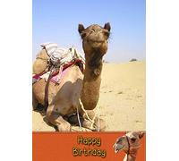 Camel Birthday Card
