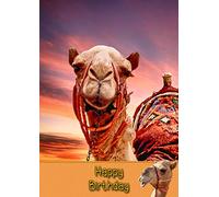 Camel Birthday Card