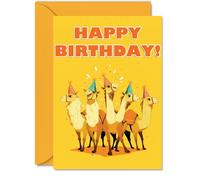 Camel Birthday Cards for Her Him - Party Animals Pyramid - Happy Birthday Card for Mum Dad Brother Sister Auntie Uncle Cousin Friend Family Colleague A5 Bday Greeting Cards