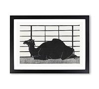 Camel by Samuel De Mesquita Framed Print | A2 Black Framed Wall Art | Ready to Hang | Modern Animal Picture | Living Room Bedroom Lounge Office