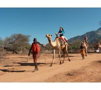 Camel Camping / It's All Greek