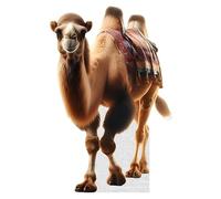 Camel - Life Size Cardboard Cutout Standup People with Support Standee | Animals -