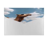 Camel Looking Up at The Sky File Folders with Letter Size Expanding File Organizer with 6 Pockets, Portable Document Paper Bill Receipt Organizer Manilla Folder for Office
