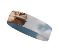 Camel Looking Up at The Sky Sweatbands Wicking and Moisture-Wicking Function Running Headband Cotton Polyester Fiber Sweat Band for Tennis Basketball Running Gym Working Out