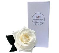 Camellia Bees 1st Year Wedding Gift for her Paper Rose Box, Unique Handmade Forever Roses Flower Gift for Valentines, Mothers Day, Wedding Anniversary (White)