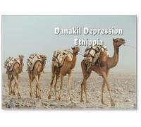 Camels Caravan with Blocks of Salt of The Danakil Depression. Ethiopian Salt Trade Maintains Ancient Traditions of Centuries. Ethiopia, Afar Depression (Afar Triangle), Fridge Magnet