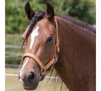 Cameo Equine Fieldsafe Headcollar Pony Hunter Green/Reflective