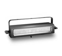 Cameo Thunder Wash 100 W Light