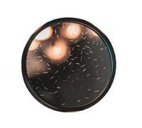 Camera Filters, Camera Lens Filters Streaks Effect Filter Circular Lens Scattere Flare,52mm, 55mm, 58mm, 62mm, 67mm, 72mm, 77mm, 82mm(77mm)