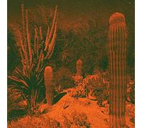 Cameron Knowler & Eli Winter - Anticipation (LP) [VINYL]