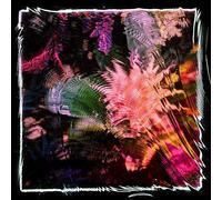 Camila Fuchs - Kids Talk Sun [VINYL]