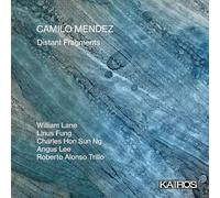 Camilo Mendez - Distant Fragments
