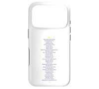Camino de Santiago de Compostela Way of Saint James Stages Pilgrims Case for iPhone 17 Pro