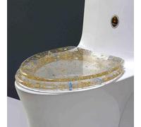 Cammeciso Quick Release Toilet Seat,Transparent Resin Toilet Seat,Slow Close Resin Toilet Seat,with Sparkly Silver Glitters,Transparent 3D Effects Decorative,Slow Soft Close,V-shaped Toilets.