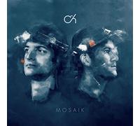 Camo & Krooked - Mosaik