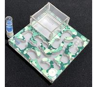 Camouflage ant farm anthill Educational formicarium with moisture and auto water feeder set for LIVE ants (Camouflage Spring)