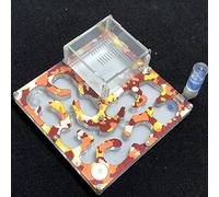 Camouflage ant farm anthill Educational formicarium with moisture and auto water feeder set for LIVE ants (Camouflage Autumn)