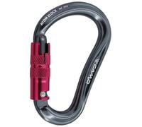 Camp Atom 2Lock Climbing Carabiner - Gunmetal