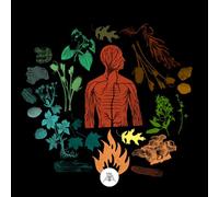 Camp Of Wolves - Bear Creek