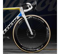 Campagnolo Bora Ultra WTO 60 Team Editon Wheels 2WF C23 - HG11 - Pair