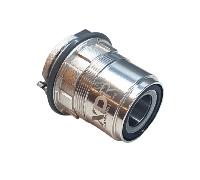 Campagnolo Compatible Freehub Sram XDR 12V